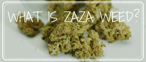 what is zaza slang|why is weed called zaza.